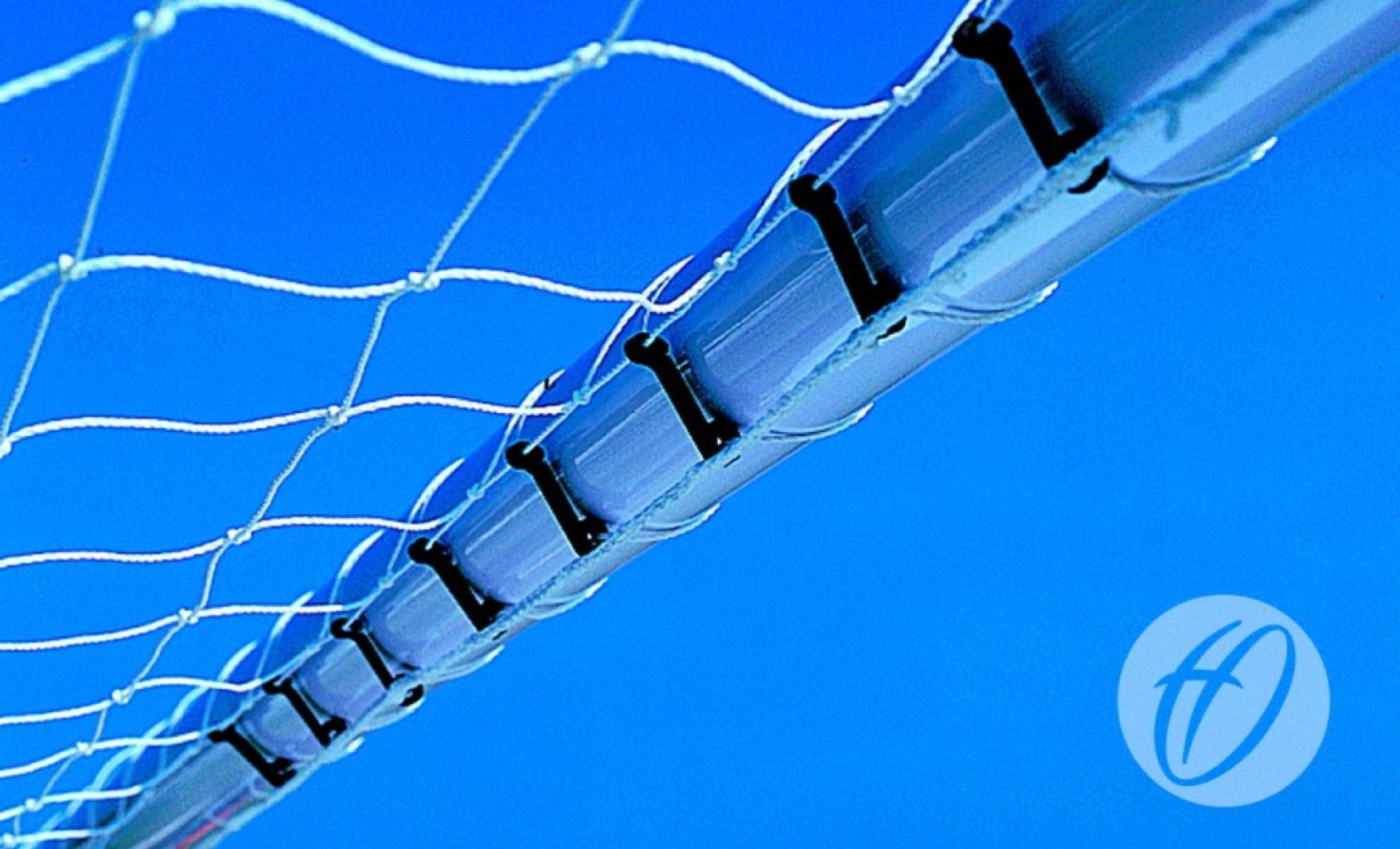 Plastic Net Clips (80 Pack)