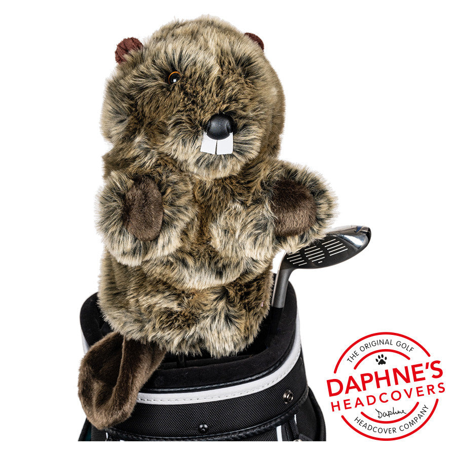 Daphne's Headcovers - Beaver