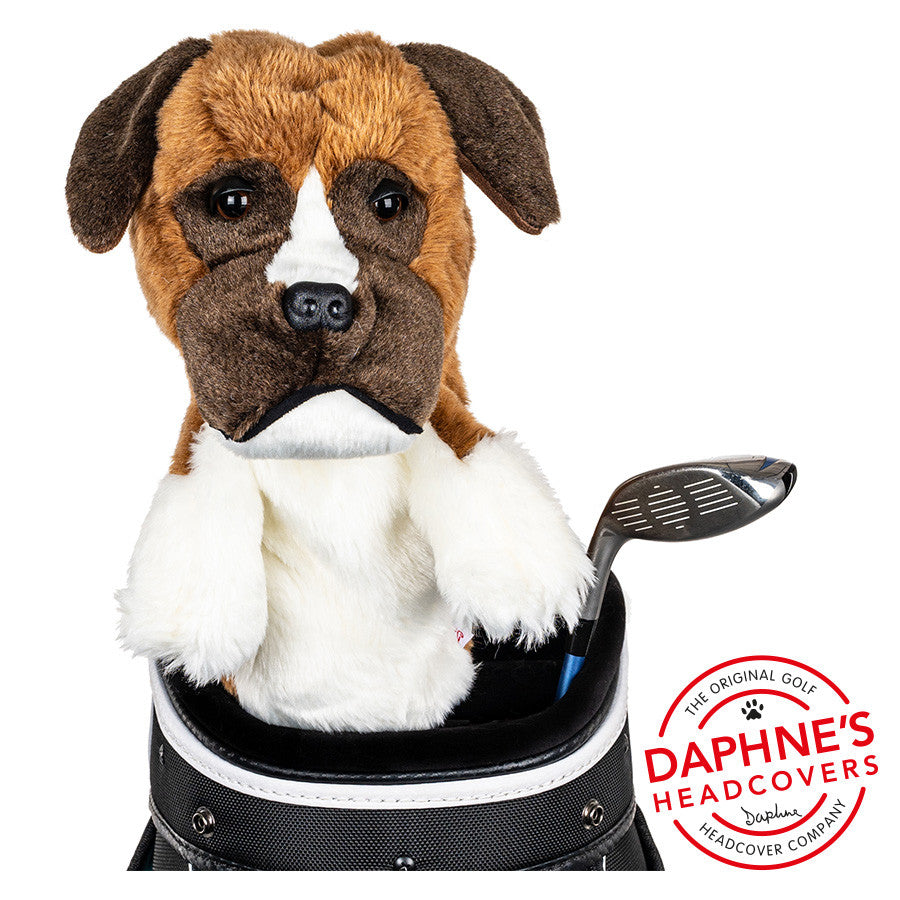 Daphne's Headcovers - Boxer