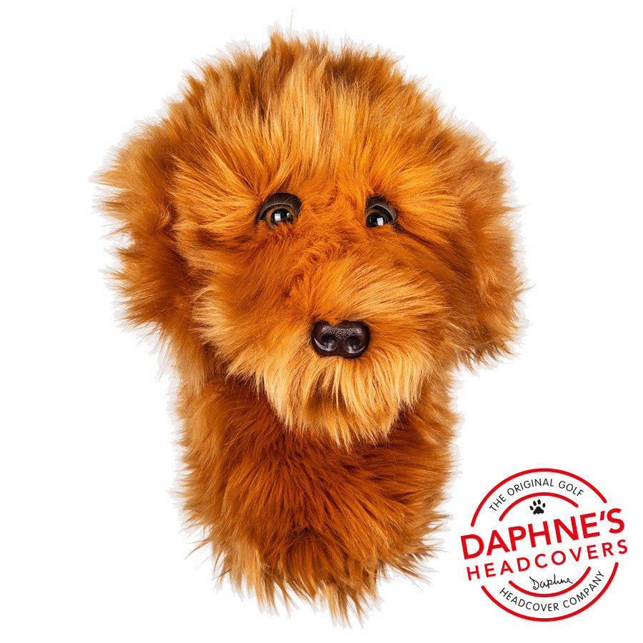 Daphne's Headcovers - Doodle Dog
