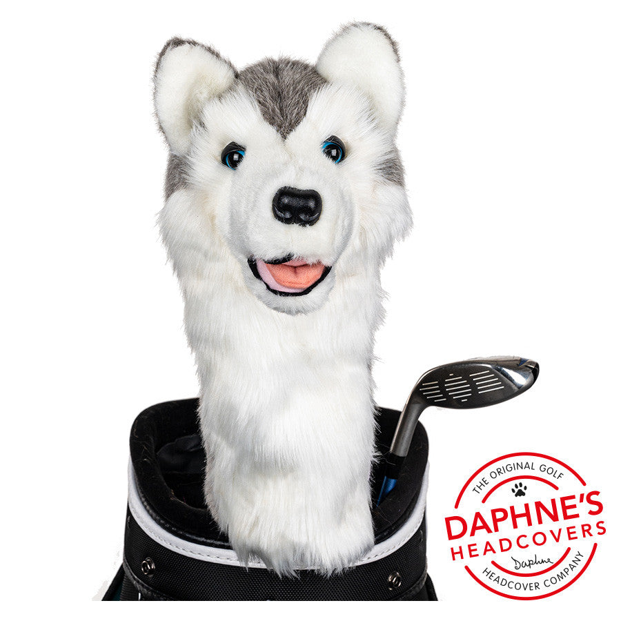 Daphne's Headcovers - Husky