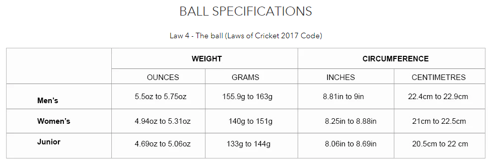 Gunn & Moore Skills Cricket Ball-Senior