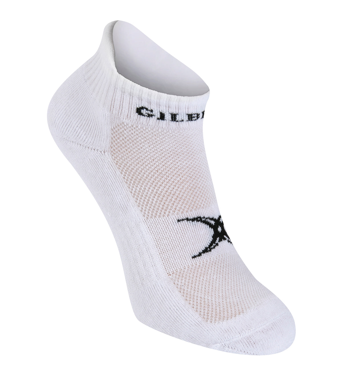 Gilbert Gym 2 - 5