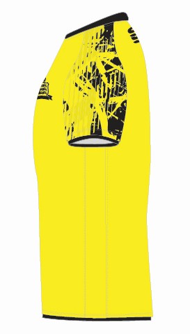 Victoria College Team Playing Cricket Shirt - 2