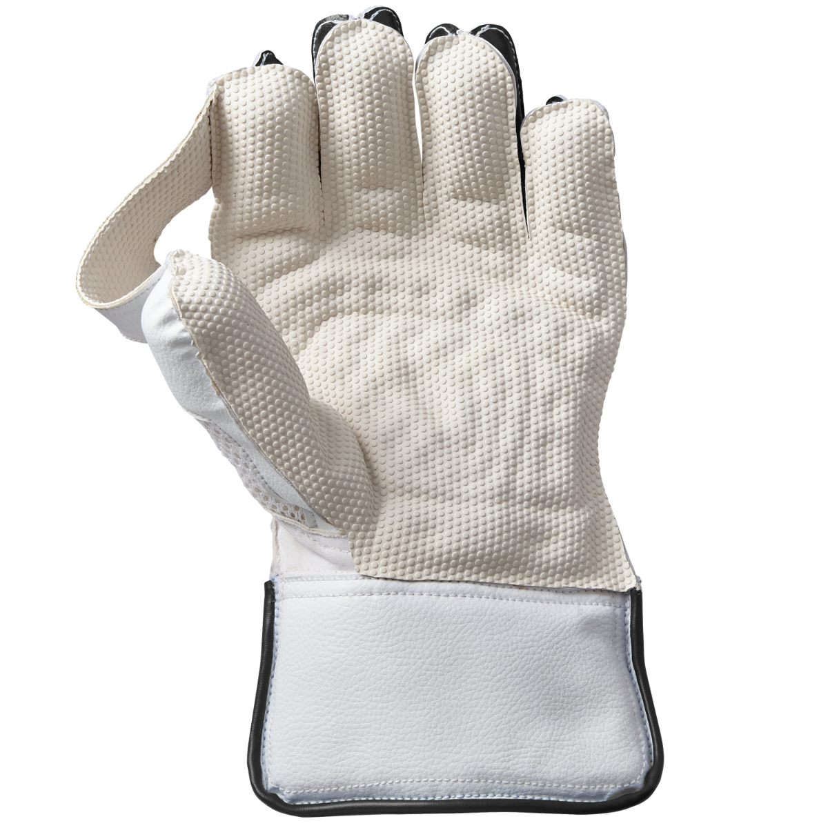 Gunn & Moore Aion Wicket Keeper Gloves