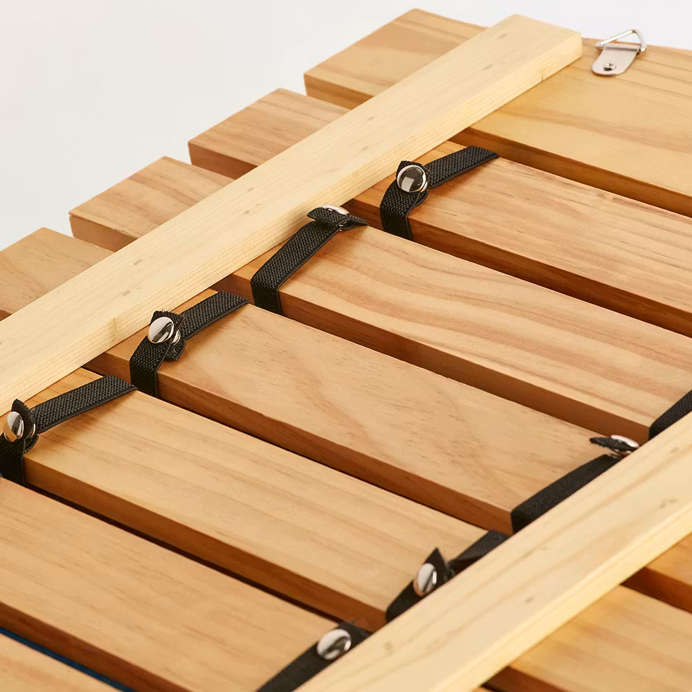 Blitz Classic Belt Display
