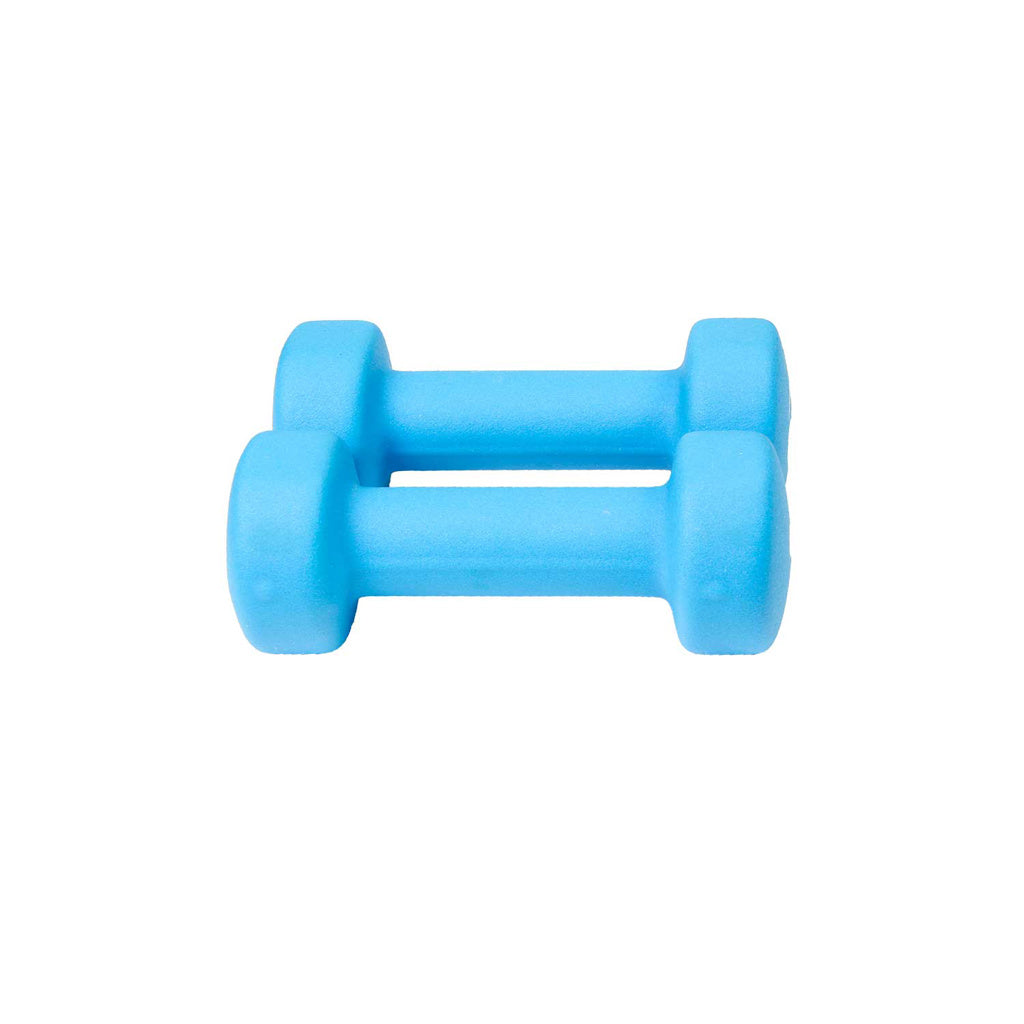 2kg Neoprene Dumbbells - Blue (Pair)