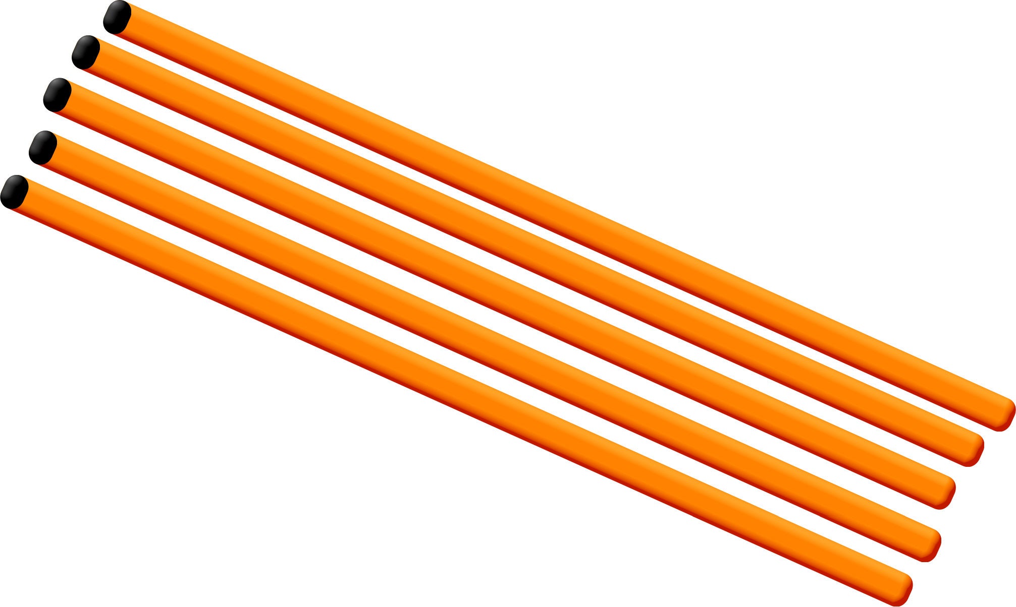 Spare 30'' Training Poles (Each)