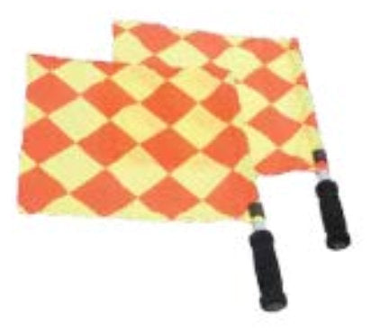 Linesman Stick/Flag Set 'world Cup'