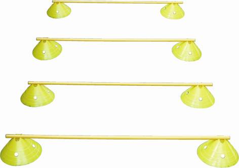 Mega Disc/Pole Ladder(Bag) Set