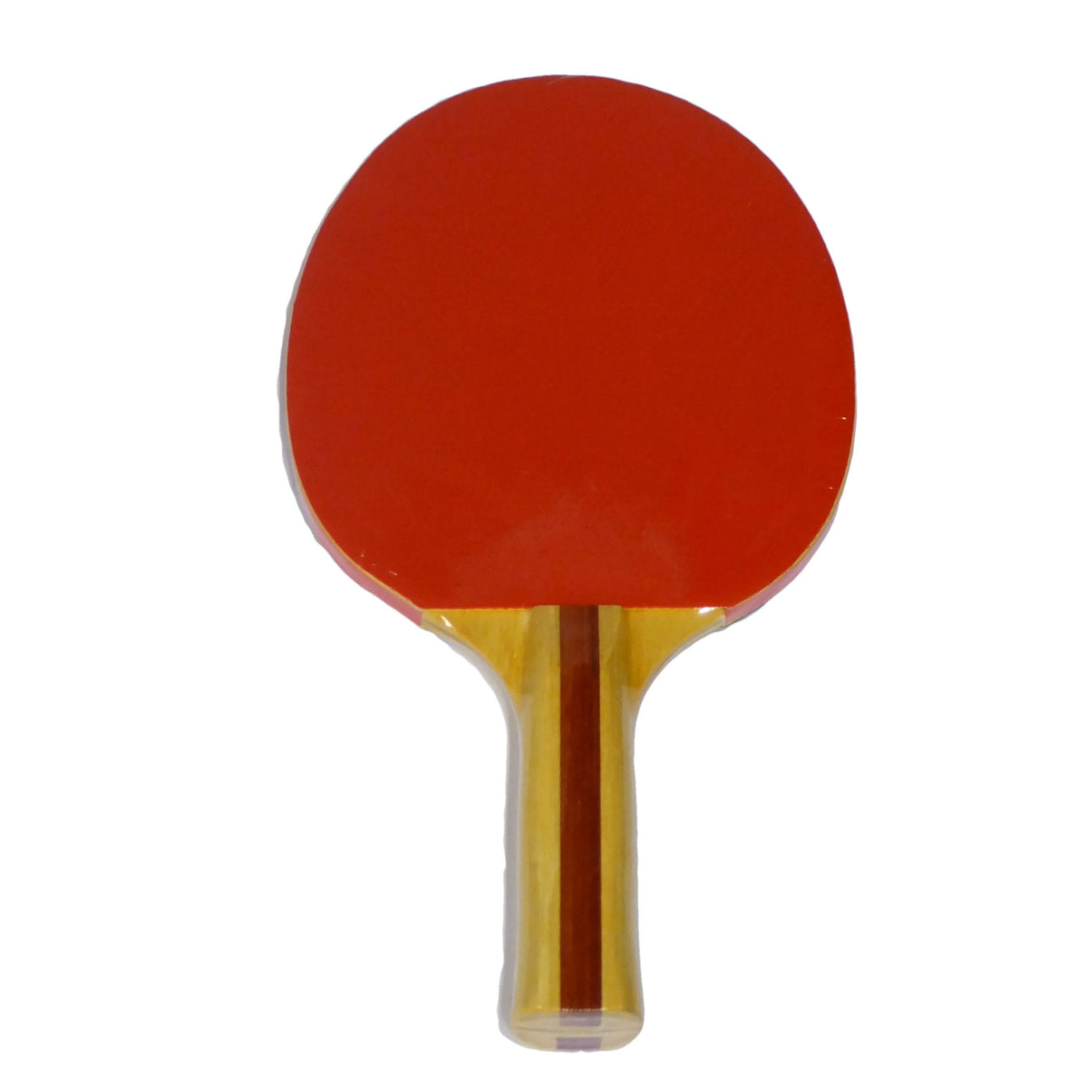 Lion Tt Bat 120 Reverse