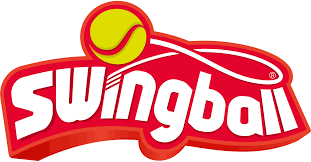 Swingball