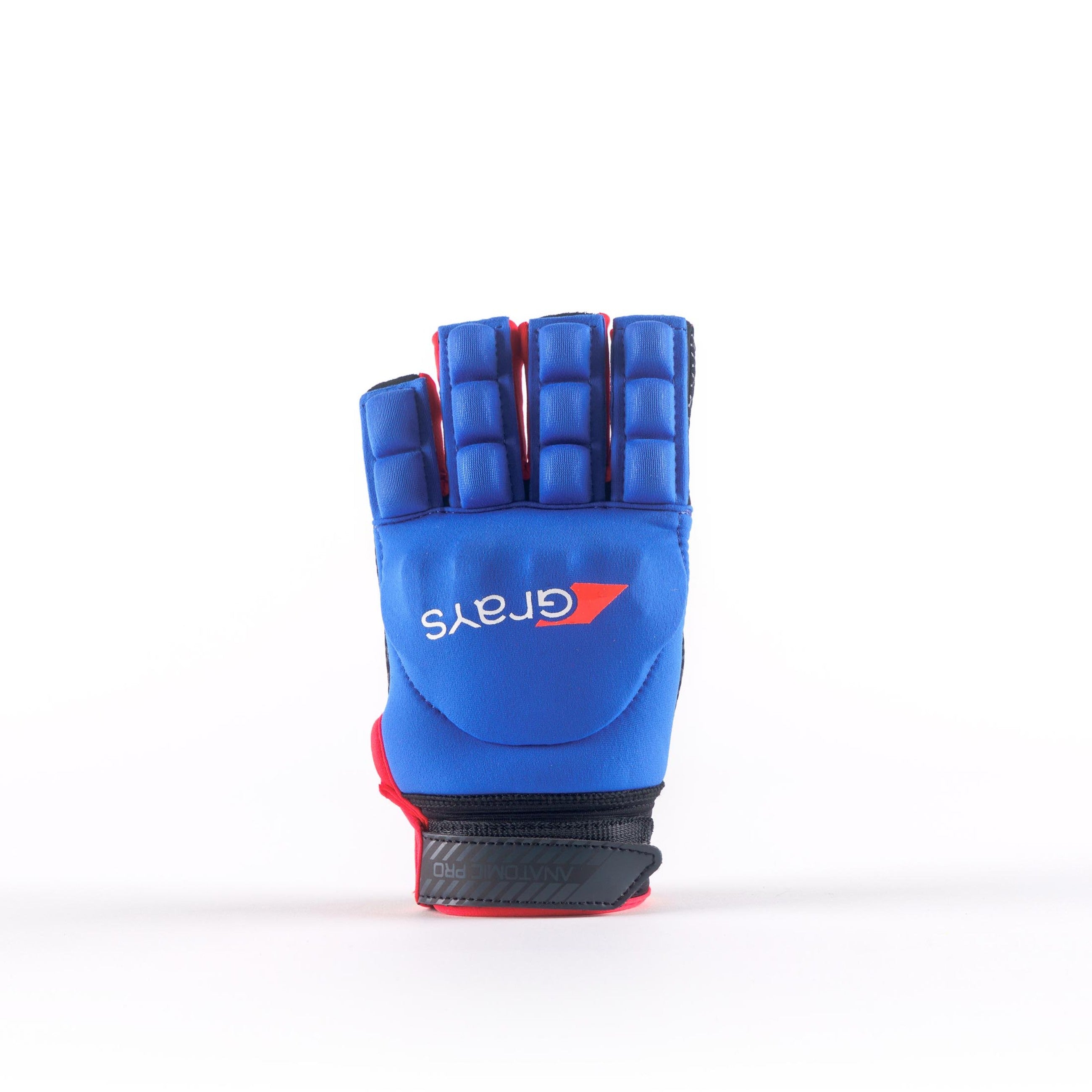 Grays Anatomic Pro
