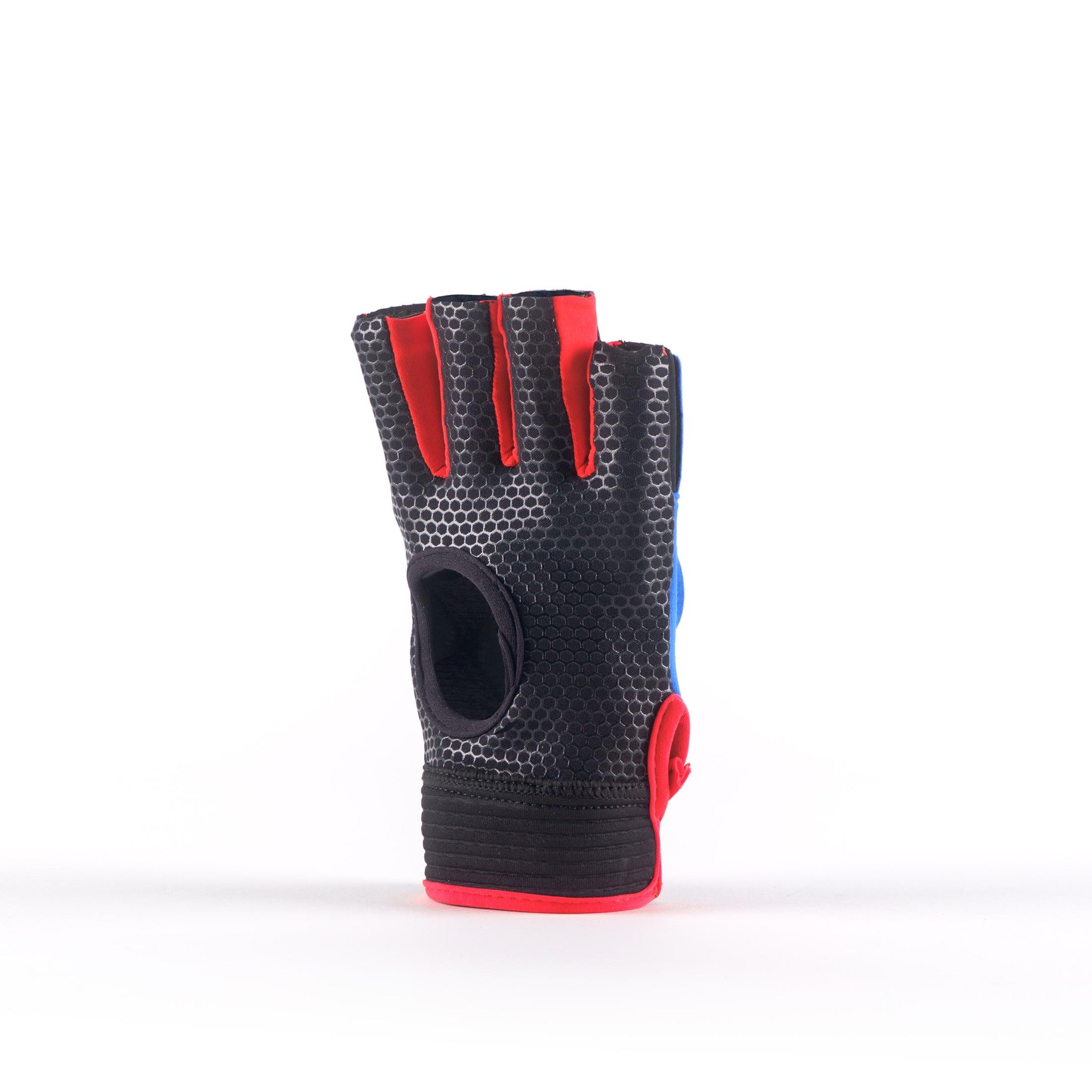 Grays Anatomic Pro