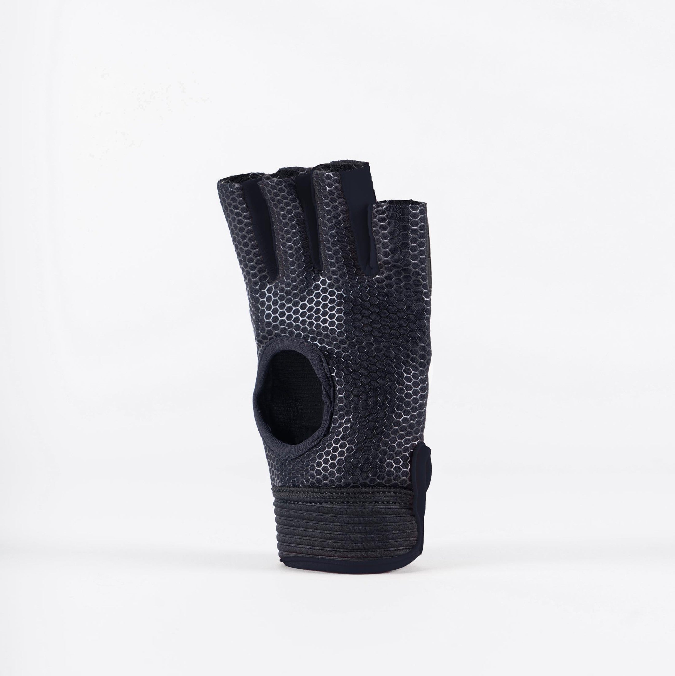 Grays Anatomic Pro