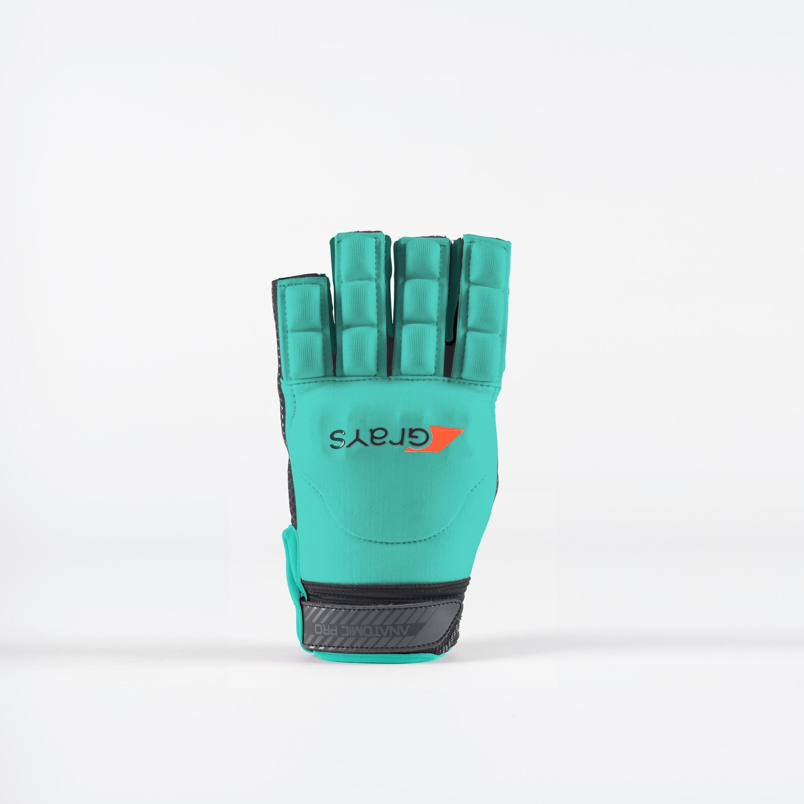 Grays Anatomic Pro