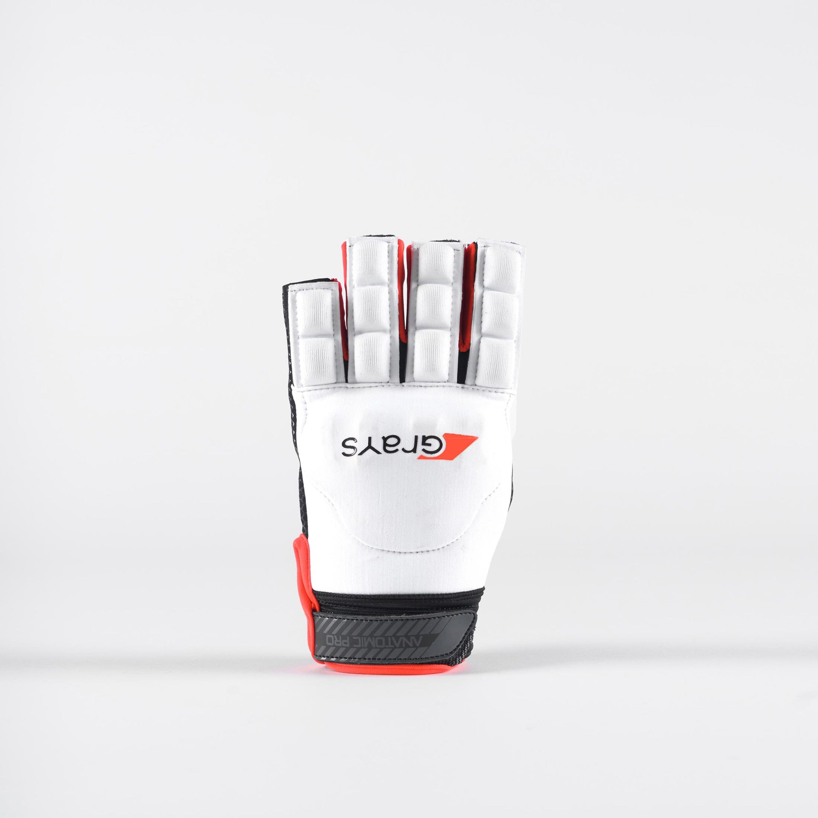 Grays Anatomic Pro