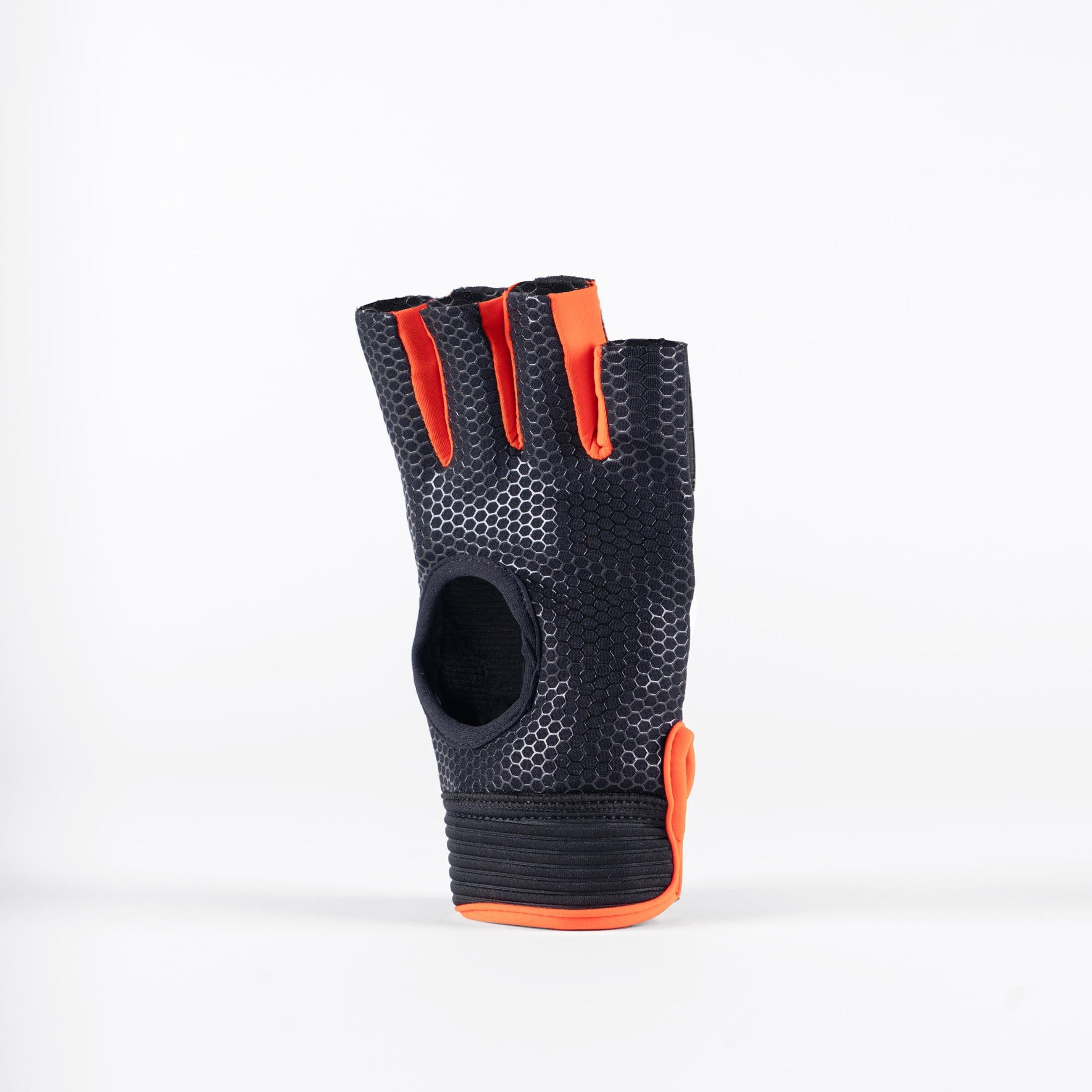 Grays Anatomic Pro