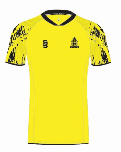 Victoria College Team Playing Cricket Shirt - 2