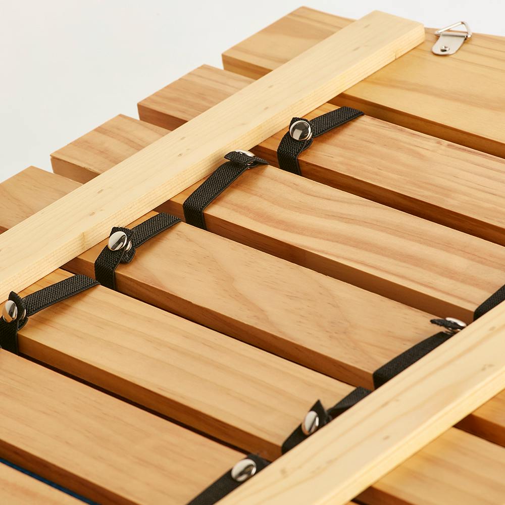 Blitz Classic Belt Display