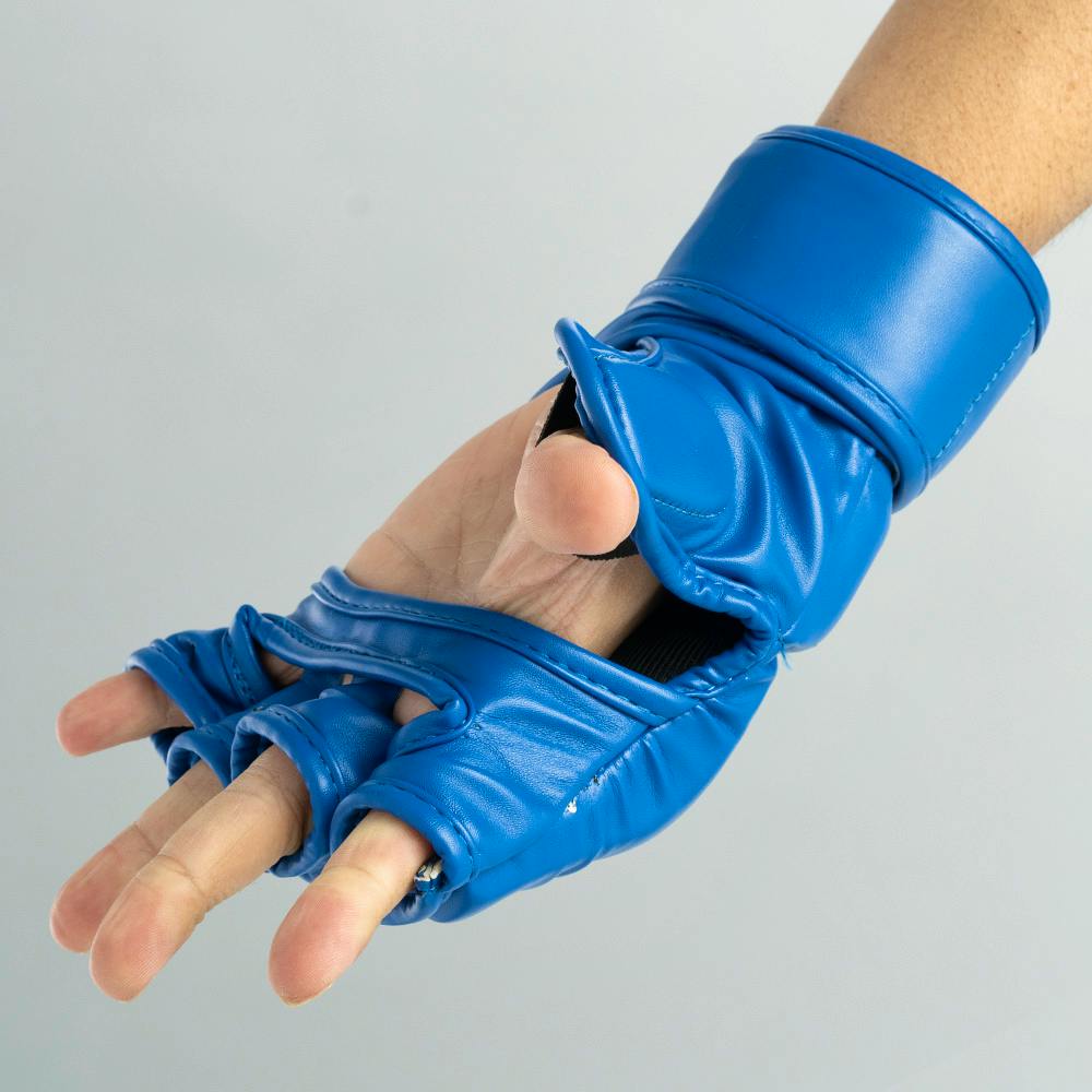 Blitz Raptor Sparring Gloves