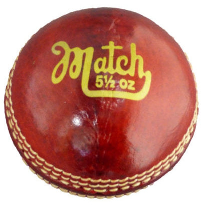 Cricket Ball Match